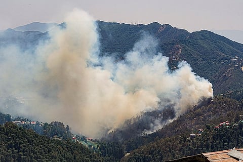 Forest fire in Shimla